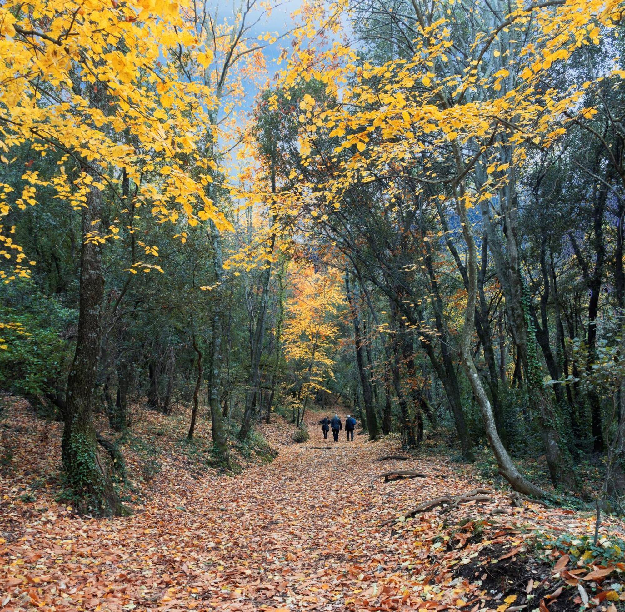 Rincon De Piedra Bcn Otel Corro de Vall Dış mekan fotoğraf