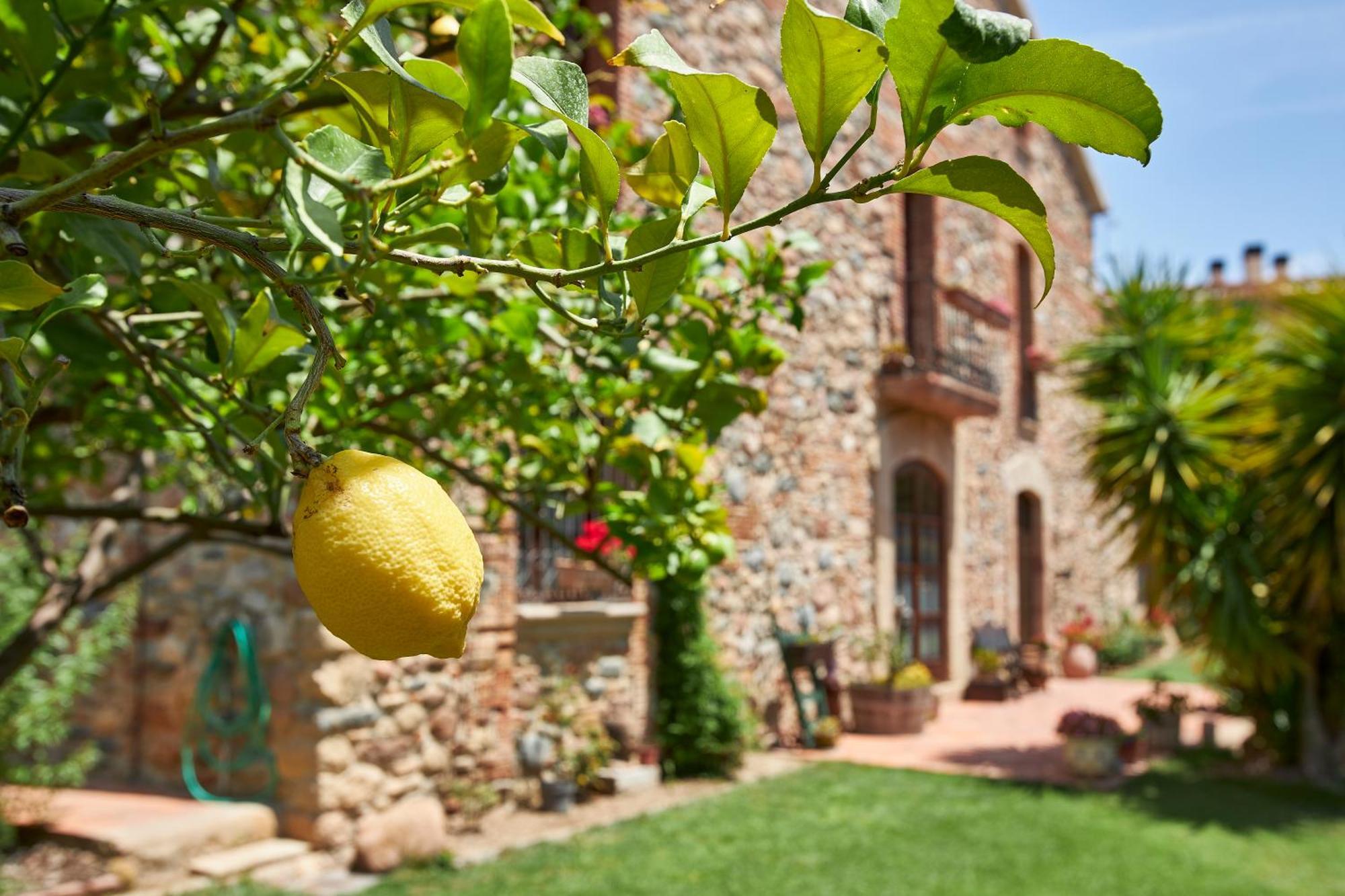 Rincon De Piedra Bcn Otel Corro de Vall Dış mekan fotoğraf